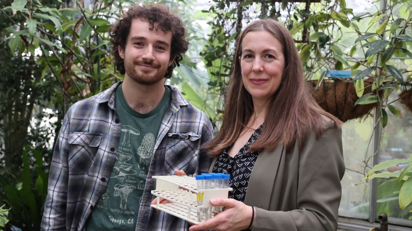 AM vs. EcM Fungi: Unpacking Their Diverse Roles in Carbon Storage